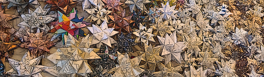 Ein grüner Fisch schwimmt  im Korallenriff. Unter ihm liegt ein rosafarbener Seestern im Sand des Meeresbodens.