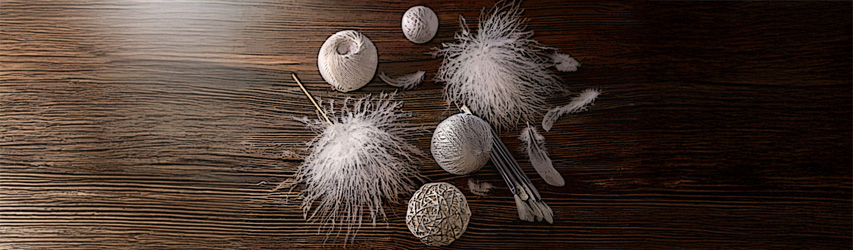 Ein grüner Fisch schwimmt  im Korallenriff. Unter ihm liegt ein rosafarbener Seestern im Sand des Meeresbodens.