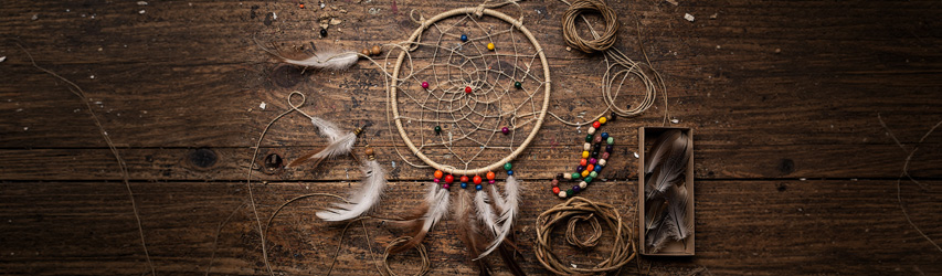 Ein grüner Fisch schwimmt  im Korallenriff. Unter ihm liegt ein rosafarbener Seestern im Sand des Meeresbodens.